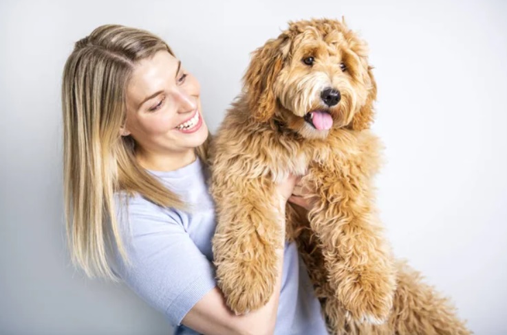 Life Span Of A Labradoodle: How Long Do They Live? 8 Labradoodle with owner